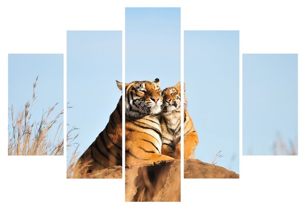 Kép - Tigris és a kölyke (150x105 cm)