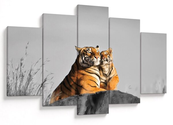 Kép - Tigris és a kölyke, fekete-fehér változat (150x105 cm)