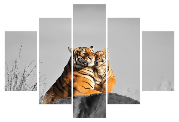 Kép - Tigris és a kölyke, fekete-fehér változat (150x105 cm)