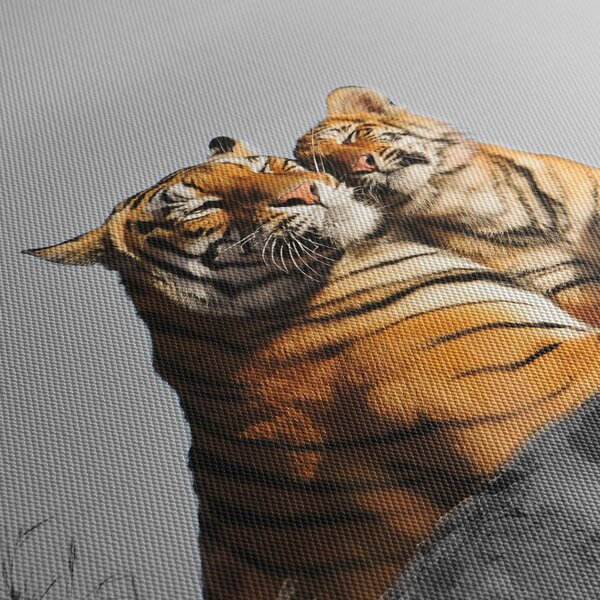 Kép - Tigris és a kölyke, fekete-fehér változat (70x50 cm)