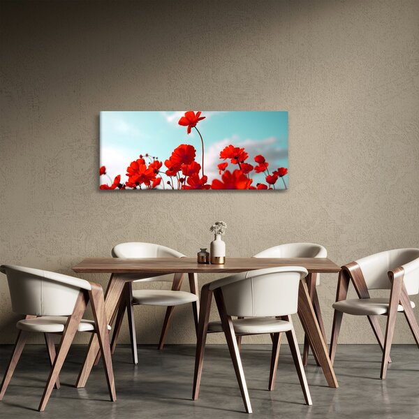 Fényes piros virágokkal rendelkező mező képe (120x50 cm)