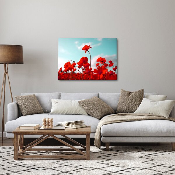 Fényes piros virágokkal rendelkező mező képe (70x50 cm)