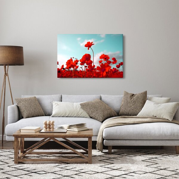 Fényes piros virágokkal rendelkező mező képe (90x60 cm)