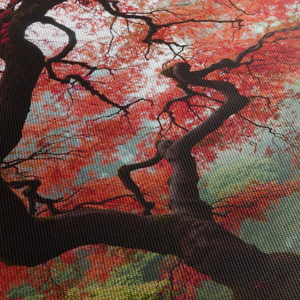 Red Japanese Maple, Portland, Oregon képe (órával) (90x30 cm)