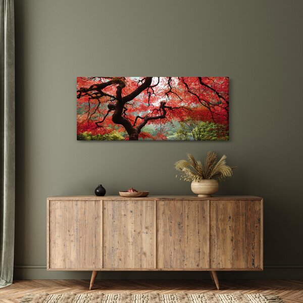 Red Japanese Maple, Portland, Oregon képe (120x50 cm)