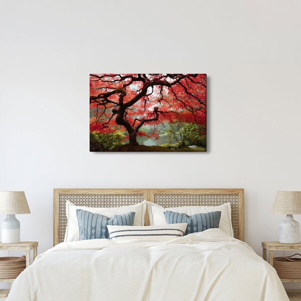 Red Japanese Maple, Portland, Oregon képe (90x60 cm)