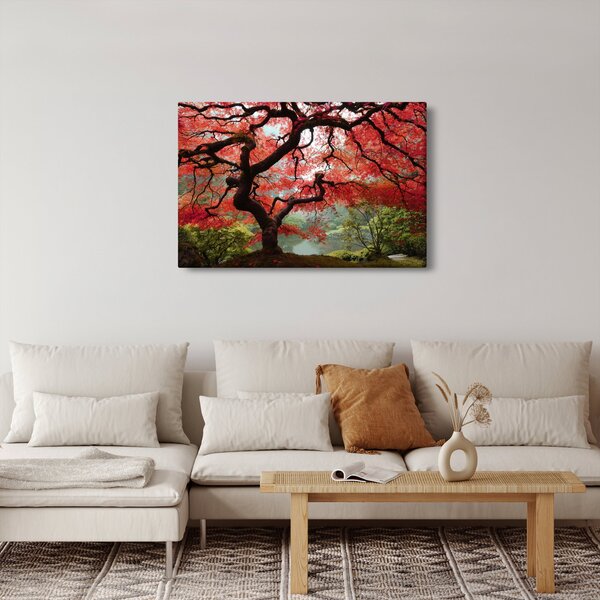 Red Japanese Maple, Portland, Oregon képe (90x60 cm)