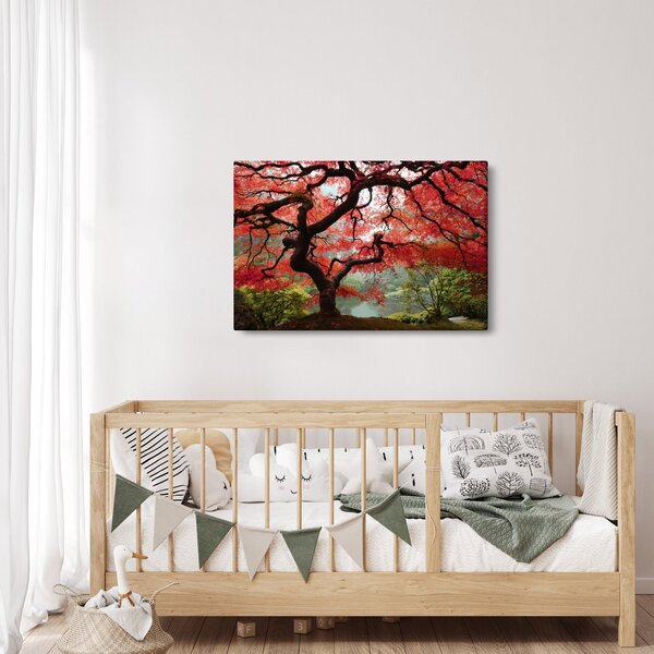 Red Japanese Maple, Portland, Oregon képe (90x60 cm)