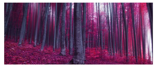 Egy rózsaszín erdő képe (120x50 cm)