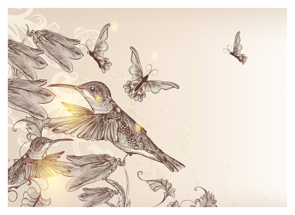 Kép - Kolibri (70x50 cm)