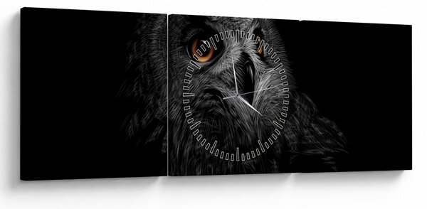 Kép - bagoly, ábra (órával) (90x30 cm)