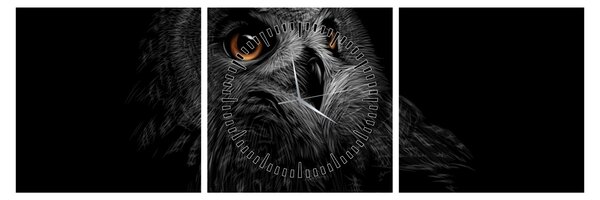 Kép - bagoly, ábra (órával) (90x30 cm)