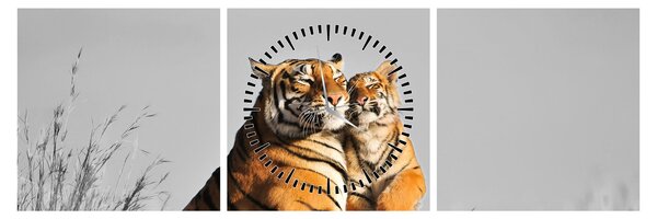 Kép - Tigris és a kölyke, fekete-fehér változat (órával) (90x30 cm)