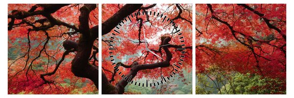 Red Japanese Maple, Portland, Oregon képe (órával) (90x30 cm)