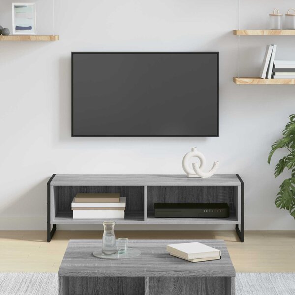 TV szekrény Szürke Sonoma 100 x 36.5 x 30.5 cm Faanyag