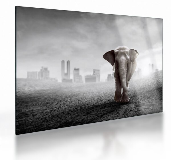 Kép -Elefánt egy nagyvárosban, fekete-fehér változat (üvegen) (70x50 cm)