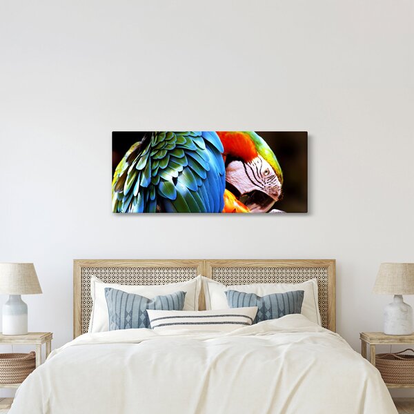 Kép - Papagáj (120x50 cm)