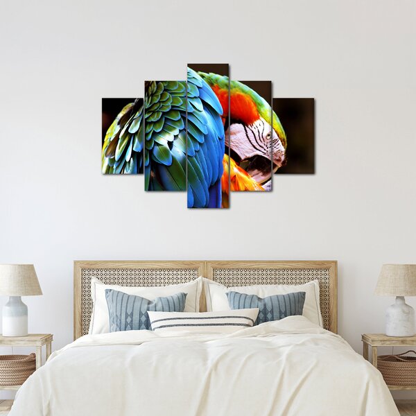 Kép - Papagáj (150x105 cm)