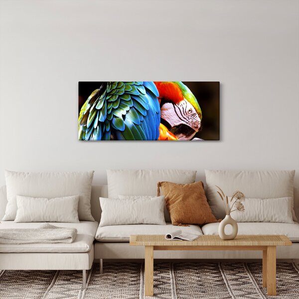 Kép - Papagáj (120x50 cm)