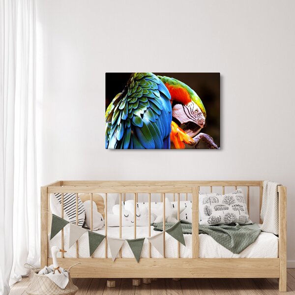 Kép - Papagáj (90x60 cm)