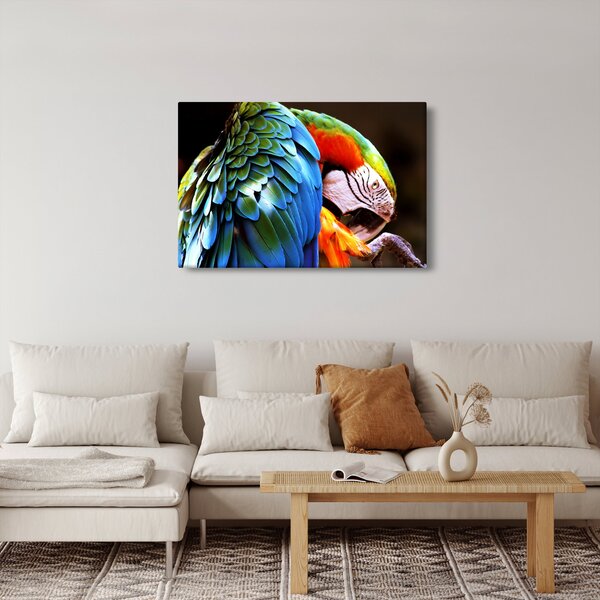 Kép - Papagáj (90x60 cm)