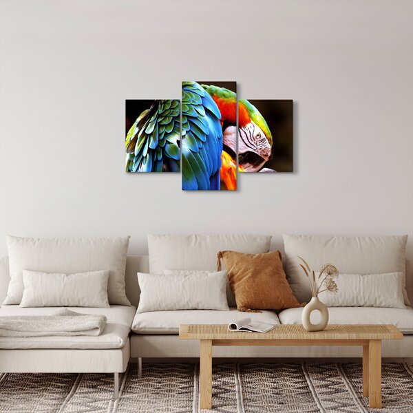 Kép - Papagáj (90x60 cm)