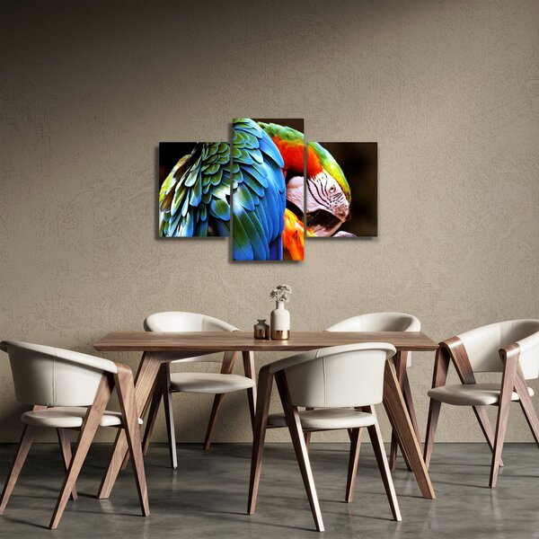 Kép - Papagáj (90x60 cm)