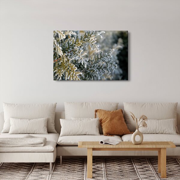Kép - Ág részlet (90x60 cm)