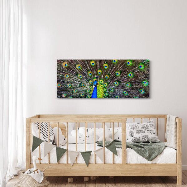 Kép - Páva (120x50 cm)