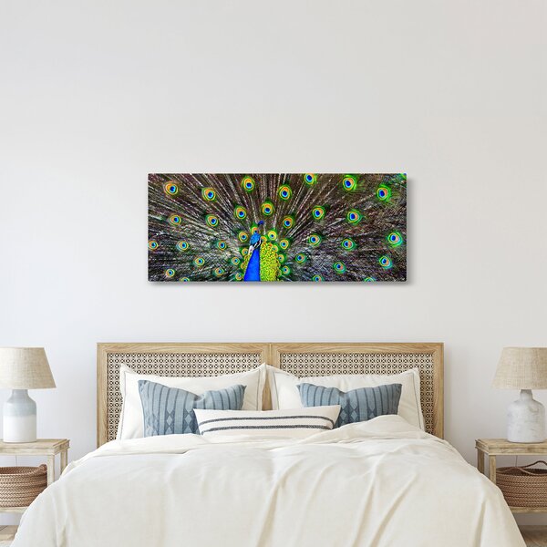 Kép - Páva (120x50 cm)