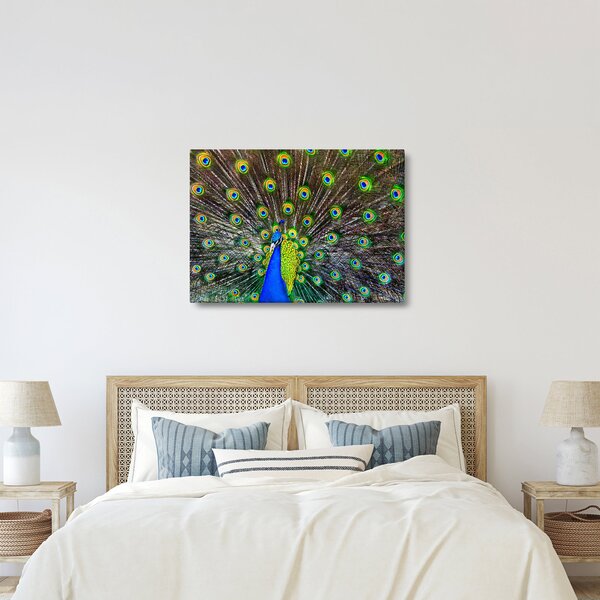 Kép - Páva (70x50 cm)