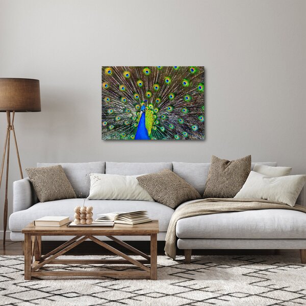 Kép - Páva (70x50 cm)