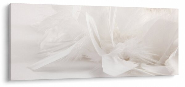 Kép - Toll (120x50 cm)