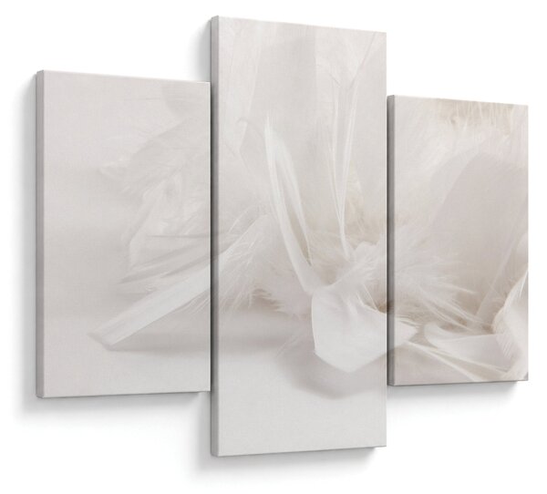 Kép - Toll (90x60 cm)