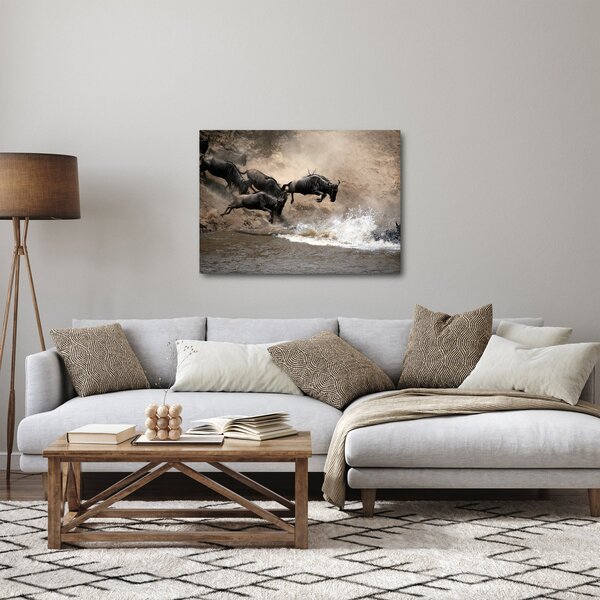 Kép - Gnúcsorda (70x50 cm)