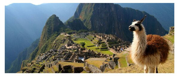 Kép - Láma és Machu Picchu (120x50 cm)
