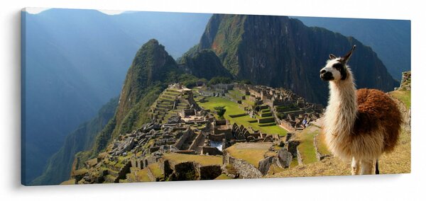 Kép - Láma és Machu Picchu (120x50 cm)