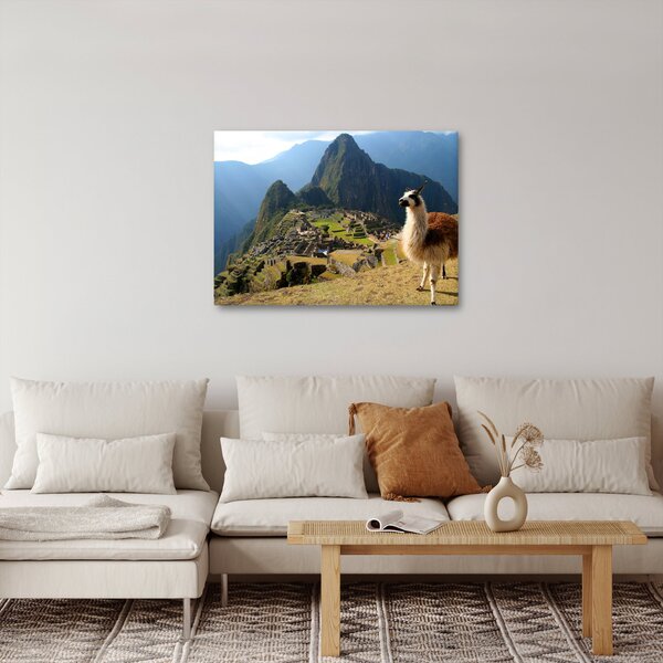 Kép - Láma és Machu Picchu (70x50 cm)