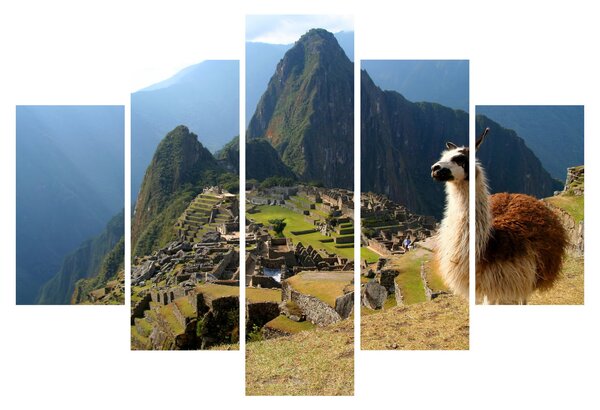 Kép - Láma és Machu Picchu (150x105 cm)