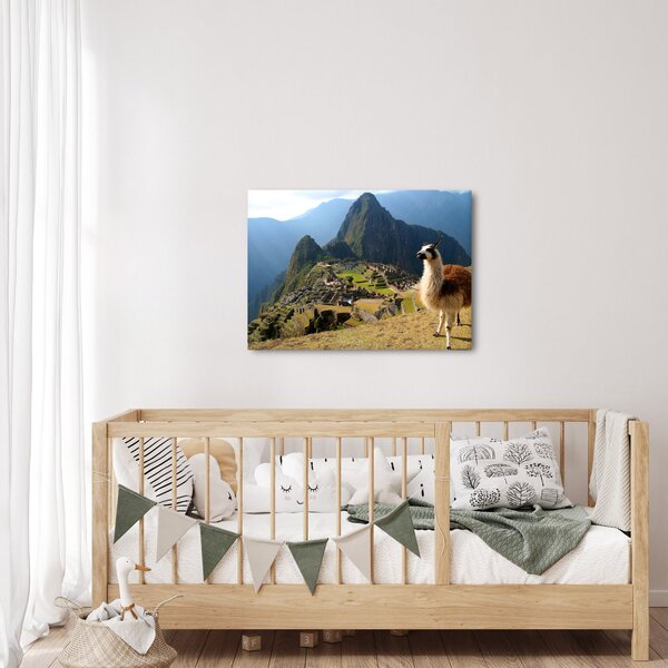 Kép - Láma és Machu Picchu (70x50 cm)