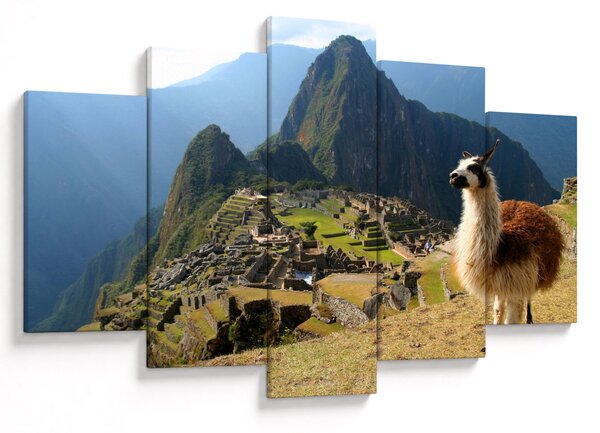 Kép - Láma és Machu Picchu (150x105 cm)