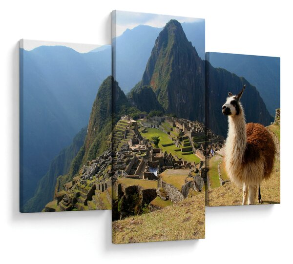 Kép - Láma és Machu Picchu (90x60 cm)