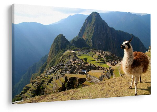 Kép - Láma és Machu Picchu (90x60 cm)