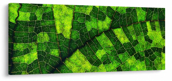 Kép - A lap részlete (120x50 cm)