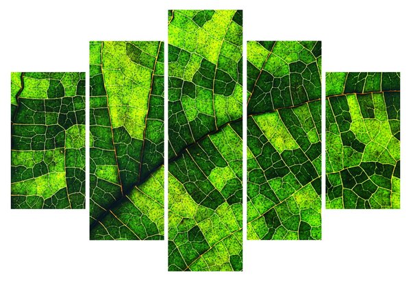 Kép - A lap részlete (150x105 cm)