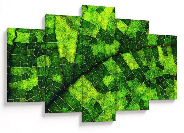 Kép - A lap részlete (150x105 cm)
