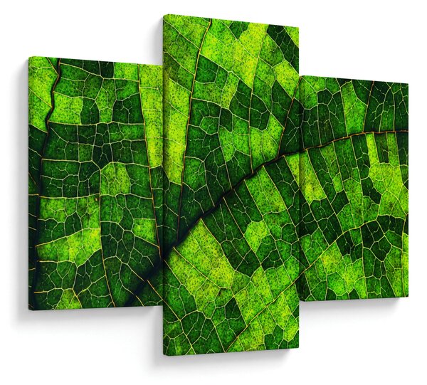 Kép - A lap részlete (90x60 cm)