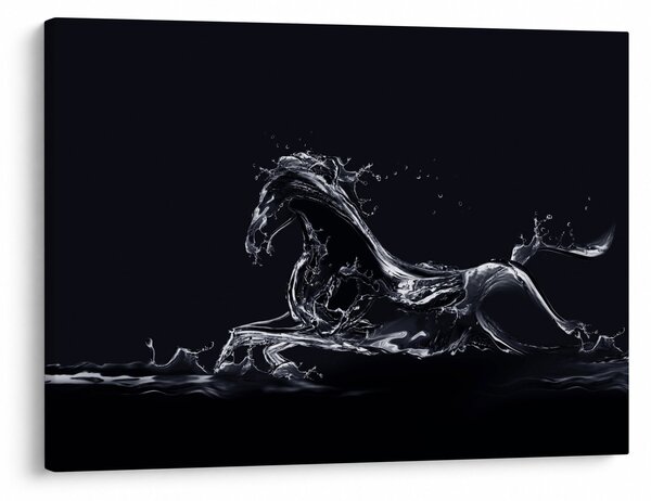 Kép - Ló és a víz (70x50 cm)