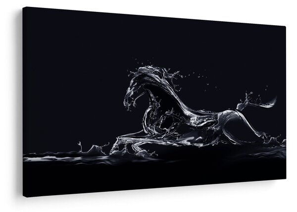 Kép - Ló és a víz (90x60 cm)