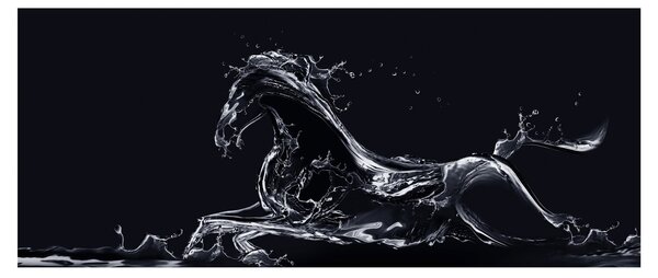 Kép - Ló és a víz (120x50 cm)